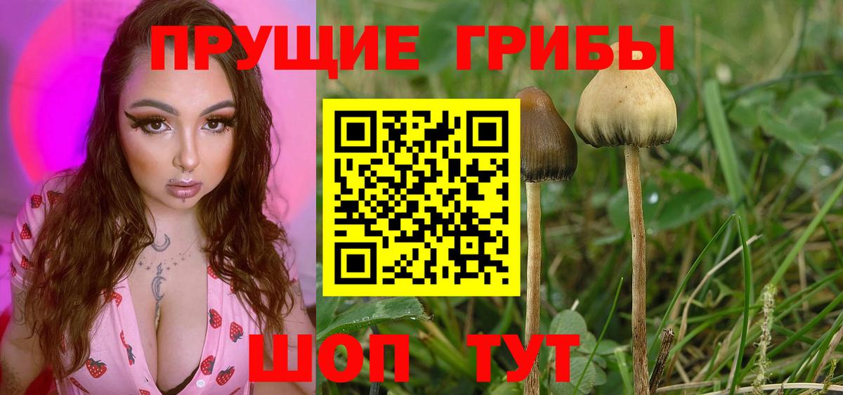 Псилоцибиновые грибы ЛСД  Вход с VPN  Крымск 